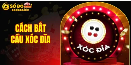 cách bắt cầu xóc đĩa