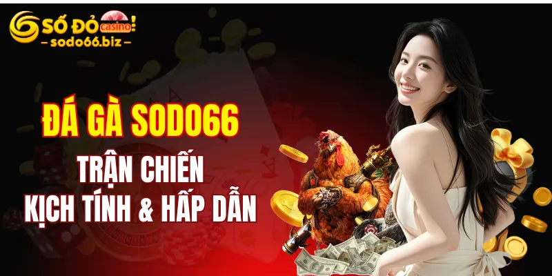 Trang chủ 14 Đá gà Sodo66 mang đến những trận chiến quyết liệt và kịch tính