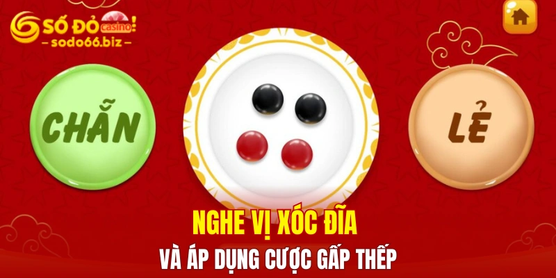 Nghe vị xóc đĩa và áp dụng cược gấp thếp